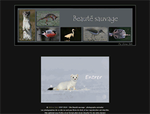 Tablet Screenshot of beaute-sauvage.fr